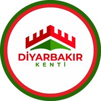 orijinal ses