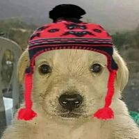 burxxga_pe