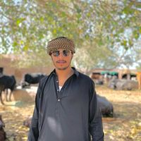 usman.gujjar236