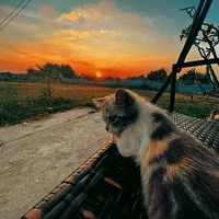 nathakorn_sim