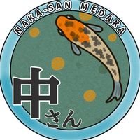 nakashi0415