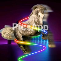 my._.horse0990