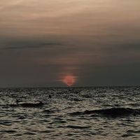 alone_16226