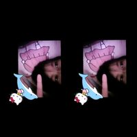 plo_063