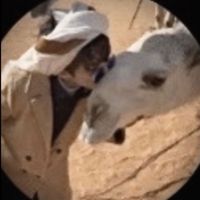 الصوت الأصلي