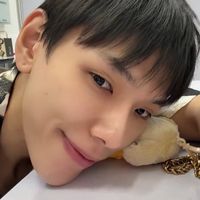 bibi.bokbek