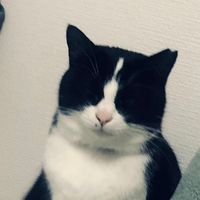 hooooooo_0703