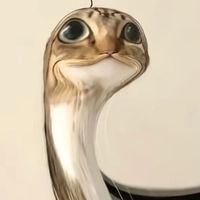 usernamee00420