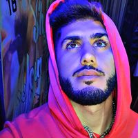 dino_didin