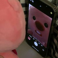 오리지널 사운드 - ⭐️