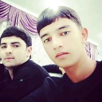 royalim_508