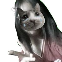 nong.aum013