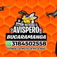 noticiasavispero.com