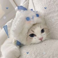 suara asli