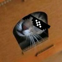 su usas el audio estás pndj