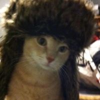 оригинальный звук
