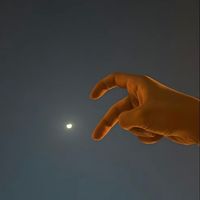 itx_syedali3