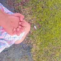 zai232323