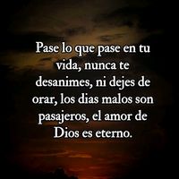any.juan13