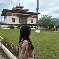 dylan_tashi