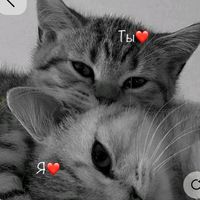 tisck0