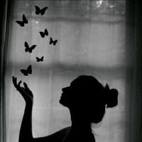 dania.zms