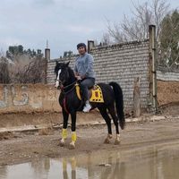 aram.baneh