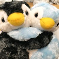 オリジナル楽曲 - トミカン🍊