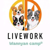 オリジナル楽曲 - わんにゃんキャンプ🐶🐱🏕️