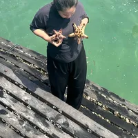 original sound - atulesantenemendoel