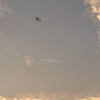 niar_almaviajera