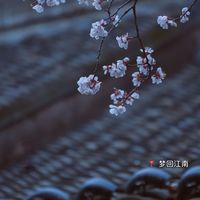 nhạc nền - 🎐 Mộng Hồi Giang Nam-梦回江南 🏮