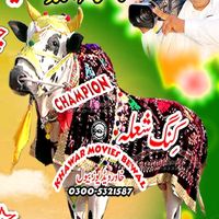 awan.studio.0