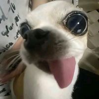 tirakk_88
