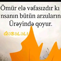 .lmdlm