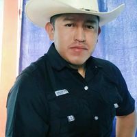 charly202244