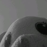 narinratn_tk