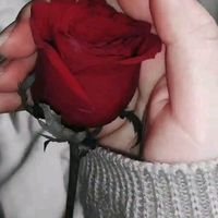 seham.741