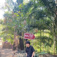 เสียงต้นฉบับ - N🖤
