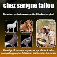falloupeul