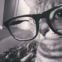 original sound - _mayannpalisoc