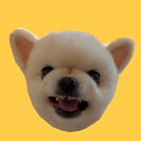 gureum_ddingdong