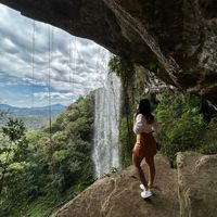 arianerocha4877