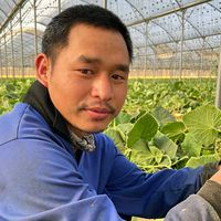 เสียงต้นฉบับ - คนไกลบ้าน หัวใจอาข่า เต้ย🇮🇱