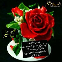 ishtiaqgishtiaq88