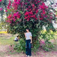 anushikaa_singh_