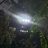 original sound
