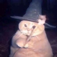 nnazqxr_