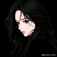 haven_zynn