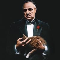 b0ss.mafia
